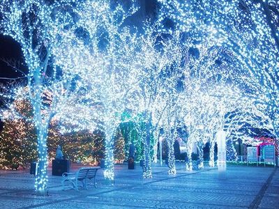 悲恋 /クリスマス