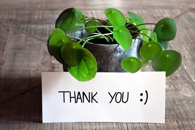 THANK YOU!